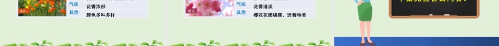 三年级上册语文课件习作：我的植物朋友 (2).pptx