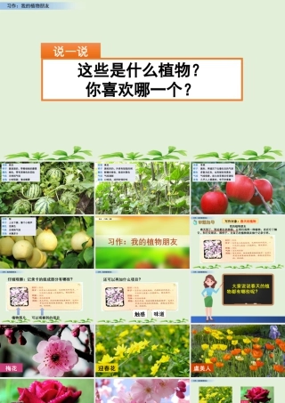 三年级上册语文课件习作：我的植物朋友 (2).pptx