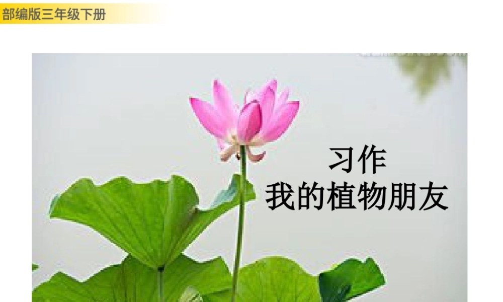 三年级上册语文课件习作：我的植物朋友.pptx