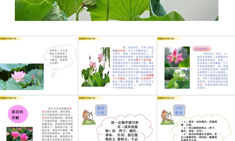 三年级上册语文课件习作：我的植物朋友.pptx