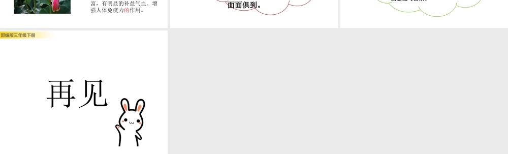 三年级上册语文课件习作：我的植物朋友.pptx