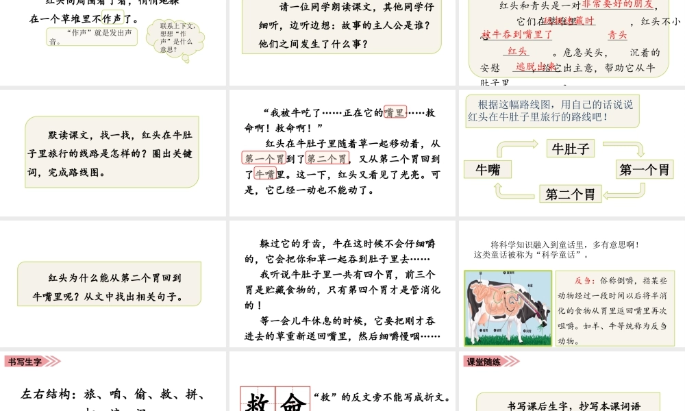 语文三年级上册-课时（教学课件）10.牛肚子里的旅行.pptx