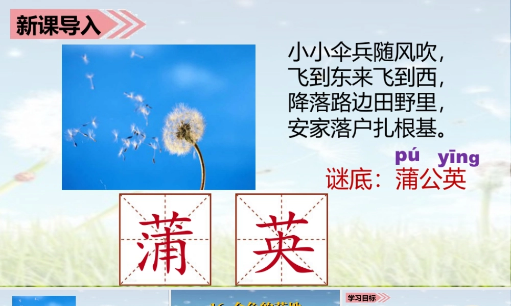 语文三年级上册-课时（教学课件）16.金色的草地.ppt