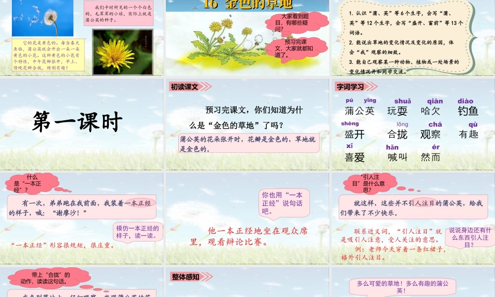 语文三年级上册-课时（教学课件）16.金色的草地.ppt