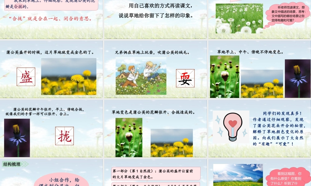 语文三年级上册-课时（教学课件）16.金色的草地.ppt