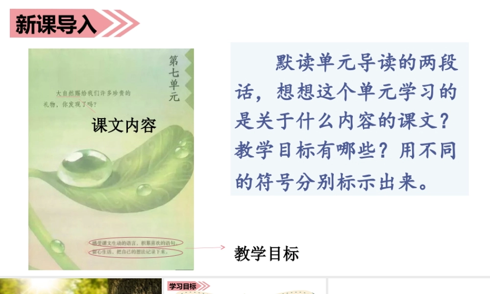 语文三年级上册-课时（教学课件）21.大自然的声音.ppt