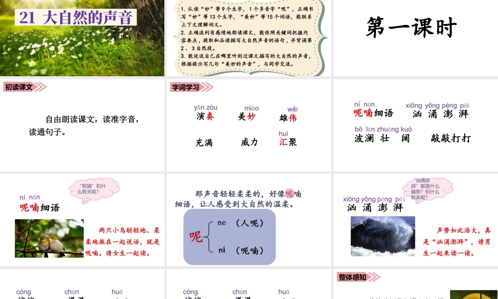 语文三年级上册-课时（教学课件）21.大自然的声音.ppt