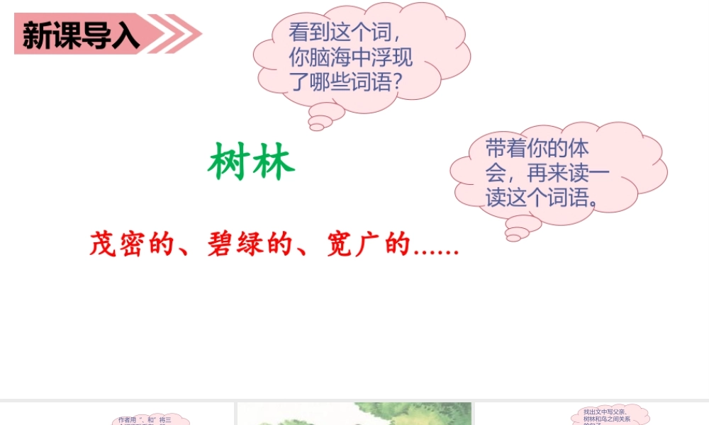 语文三年级上册-课时（教学课件）23.父亲、树林和鸟.ppt