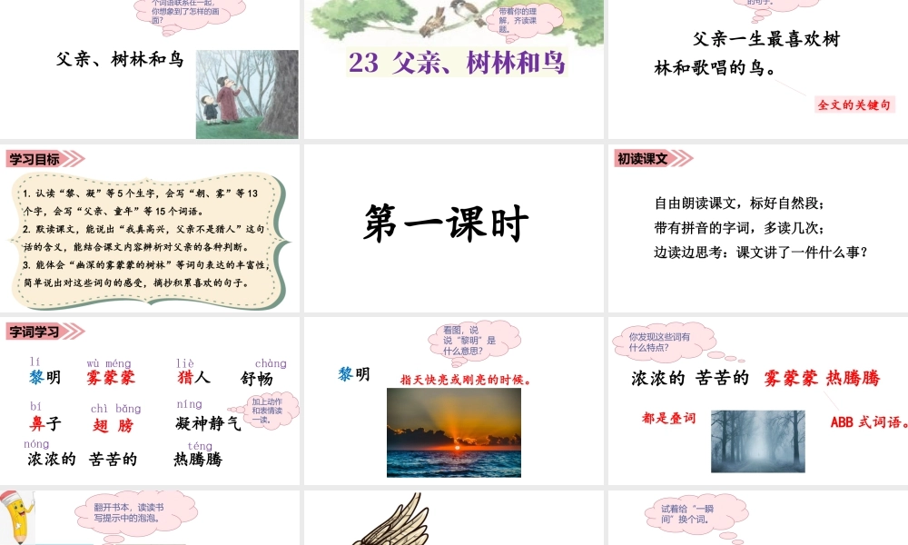 语文三年级上册-课时（教学课件）23.父亲、树林和鸟.ppt
