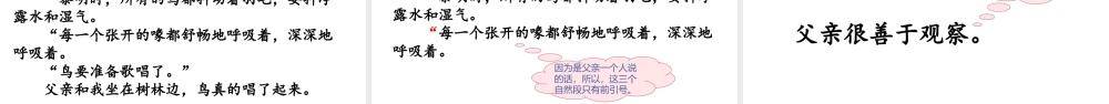 语文三年级上册-课时（教学课件）23.父亲、树林和鸟.ppt