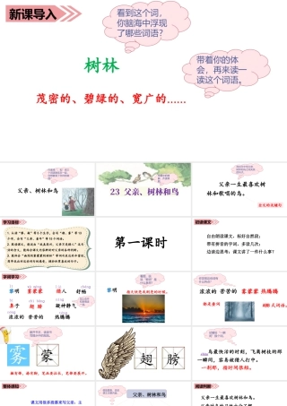 语文三年级上册-课时（教学课件）23.父亲、树林和鸟.ppt