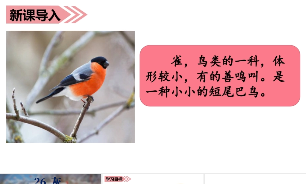 语文三年级上册-课时（教学课件）26.灰雀.ppt