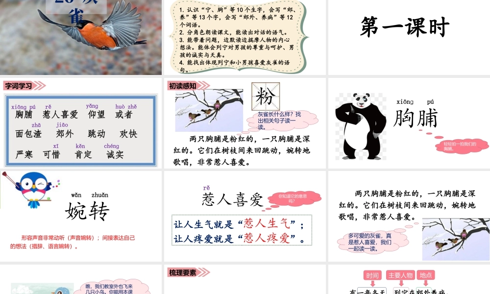 语文三年级上册-课时（教学课件）26.灰雀.ppt