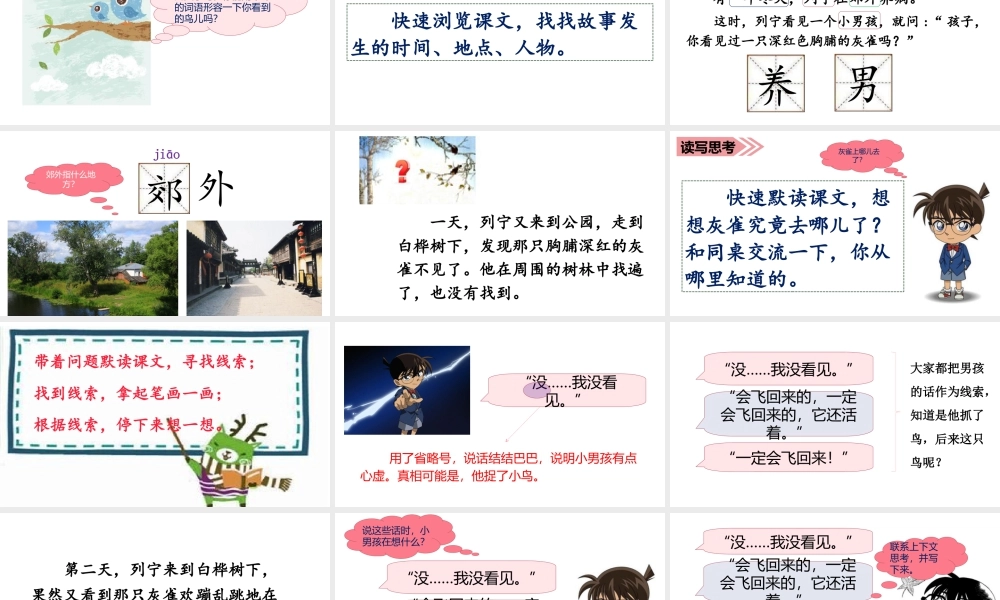 语文三年级上册-课时（教学课件）26.灰雀.ppt