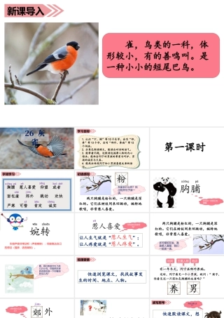 语文三年级上册-课时（教学课件）26.灰雀.ppt
