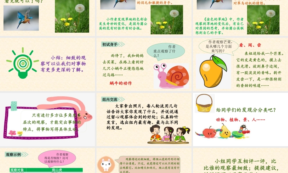 语文三年级上册-课时（教学课件）交流平台与习作例文.pptx