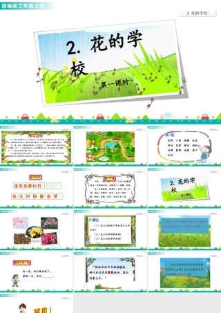 语文三年级上册-课时2 花的学校 课件.ppt