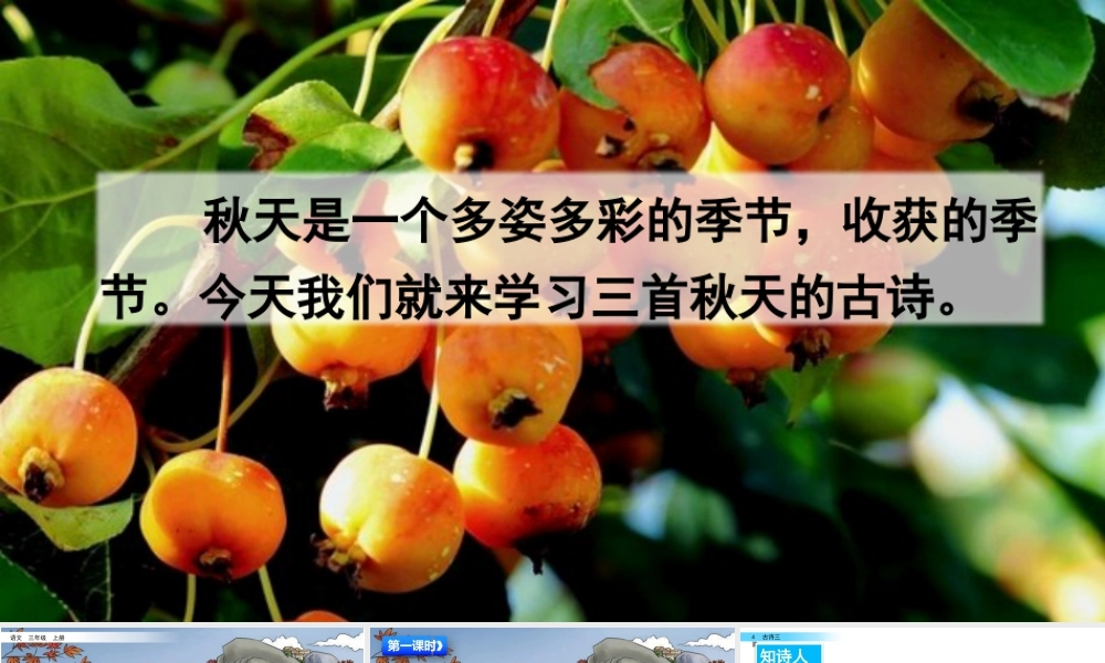 语文三年级上册-课时4 古诗三首.pptx