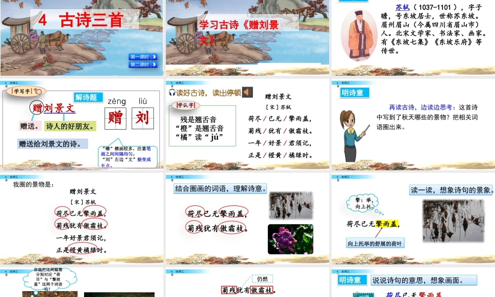 语文三年级上册-课时4 古诗三首.pptx