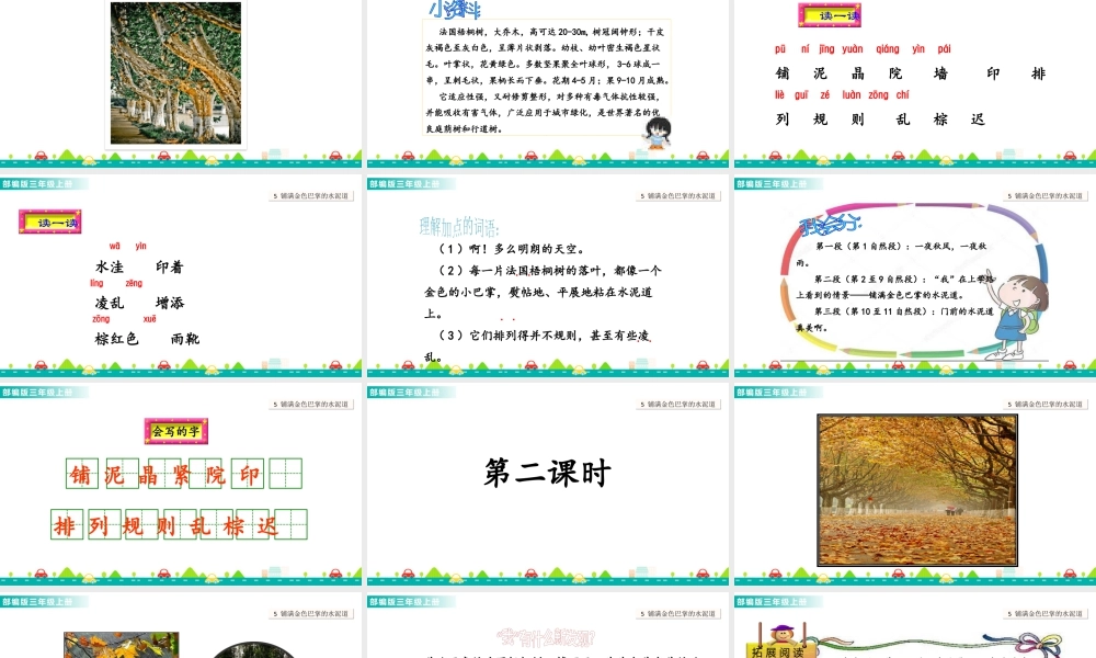 语文三年级上册-课时5 铺满金色巴掌的水泥道 课件.ppt