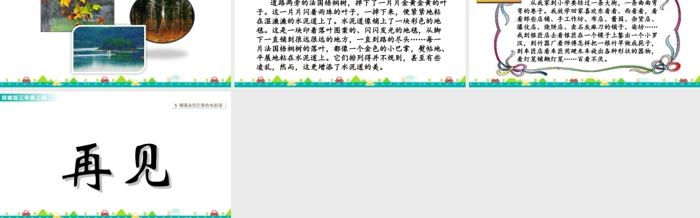 语文三年级上册-课时5 铺满金色巴掌的水泥道 课件.ppt