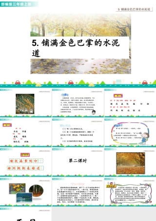 语文三年级上册-课时5 铺满金色巴掌的水泥道 课件.ppt