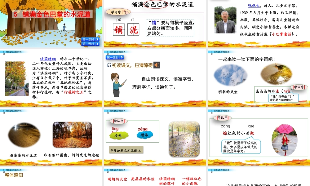 语文三年级上册-课时5 铺满金色巴掌的水泥道.pptx