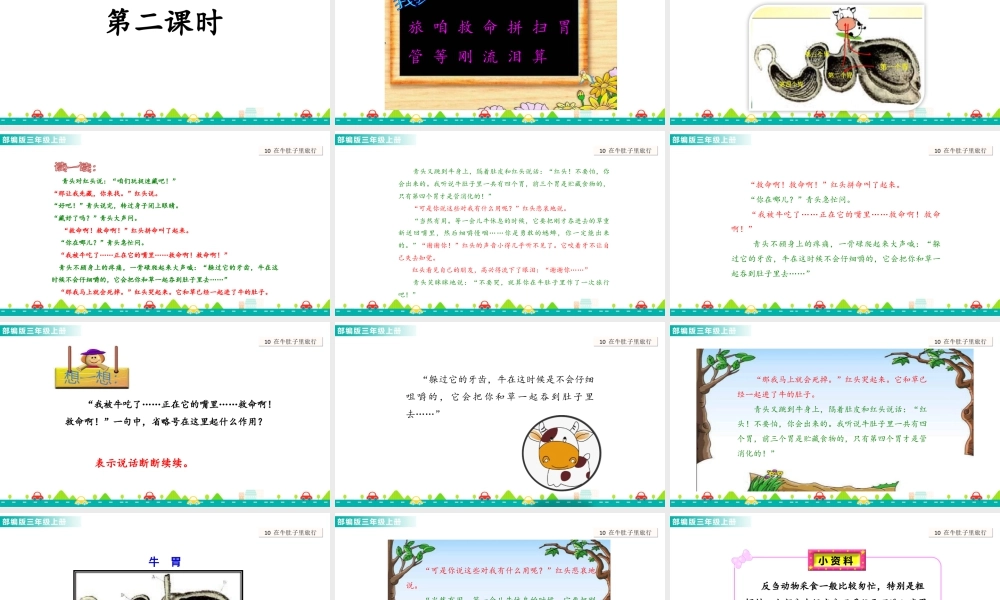 语文三年级上册-课时10 在牛肚子里旅行 课件.ppt