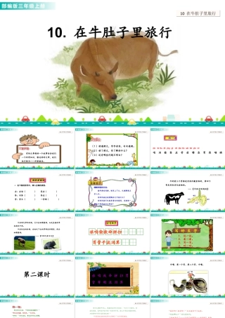 语文三年级上册-课时10 在牛肚子里旅行 课件.ppt