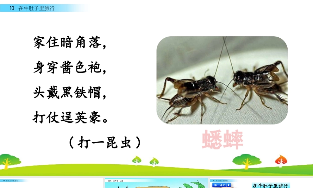 语文三年级上册-课时10 在牛肚子里旅行.pptx