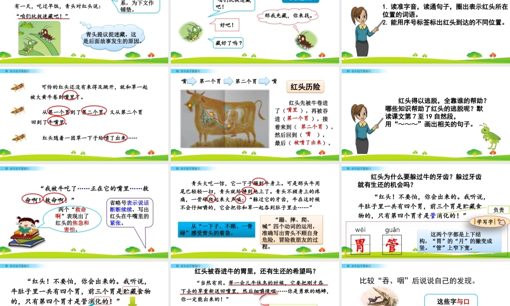 语文三年级上册-课时10 在牛肚子里旅行.pptx