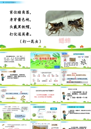 语文三年级上册-课时10 在牛肚子里旅行.pptx
