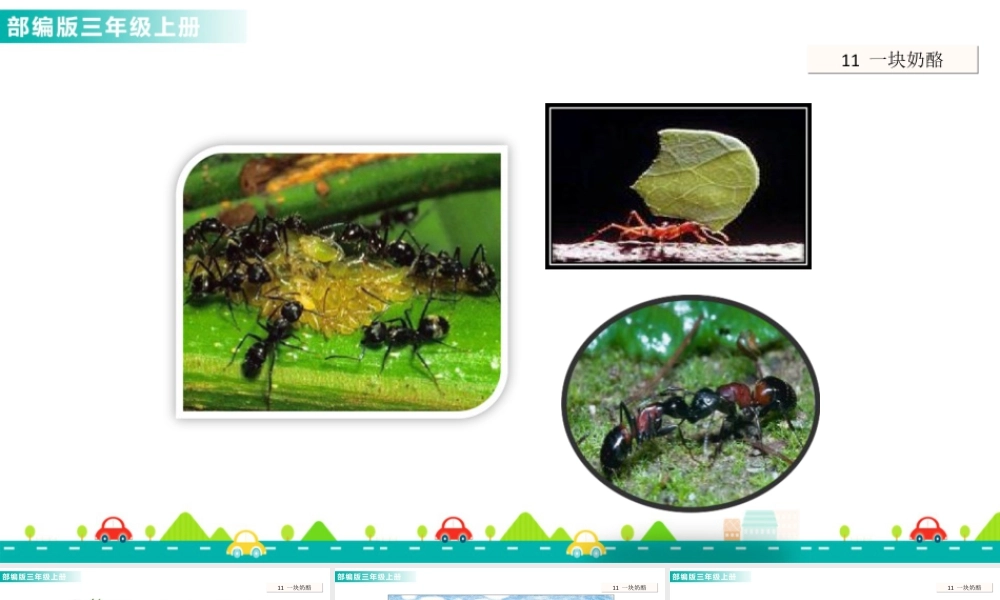 语文三年级上册-课时11 一块奶酪 课件.ppt