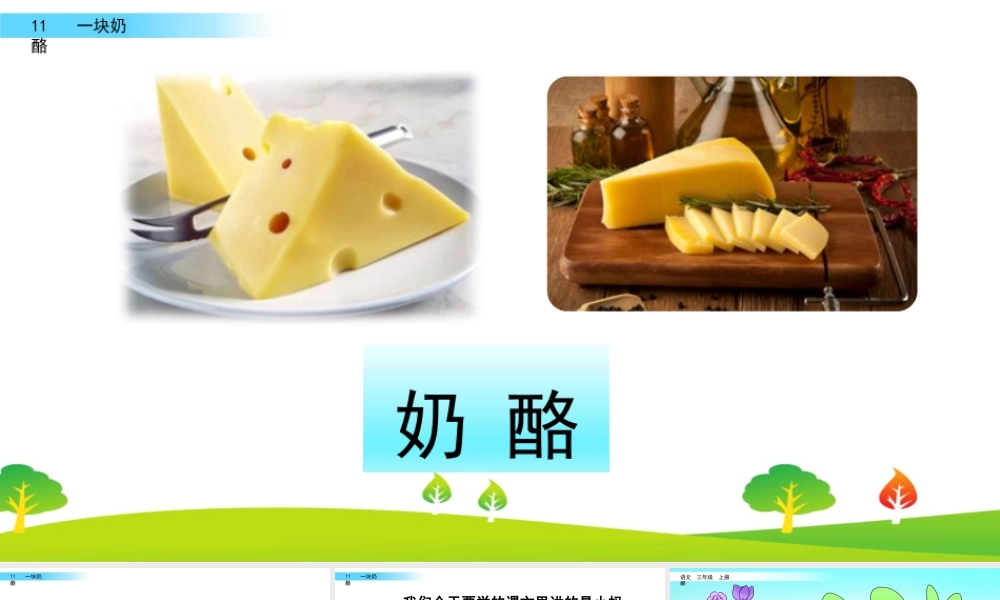 语文三年级上册-课时11 一块奶酪.pptx