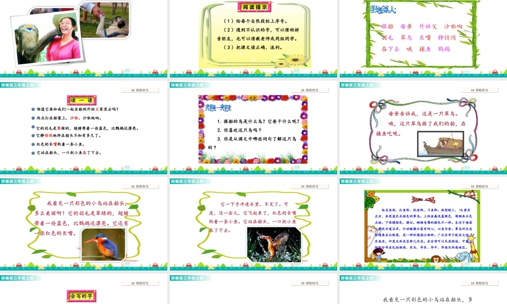 语文三年级上册-课时15 搭船的鸟 课件.ppt