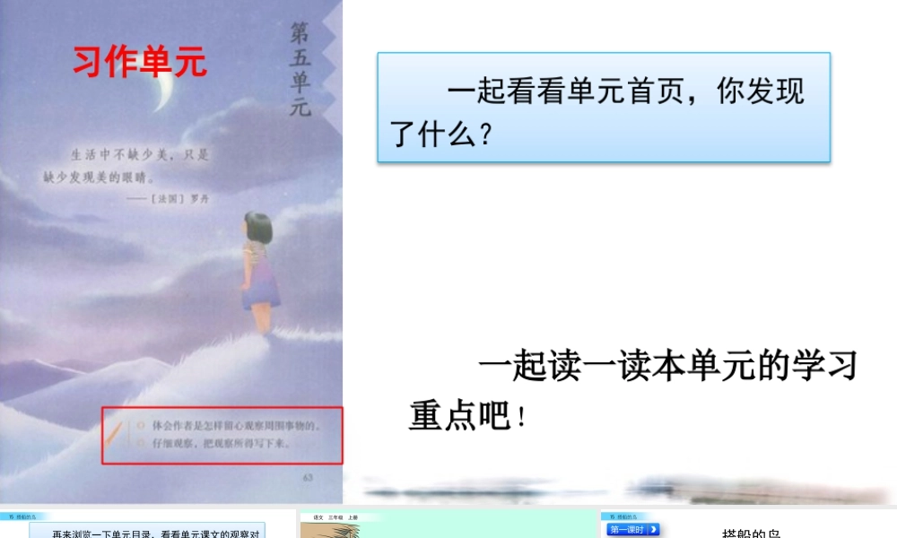 语文三年级上册-课时15 搭船的鸟.pptx