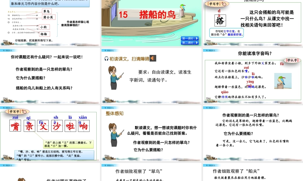 语文三年级上册-课时15 搭船的鸟.pptx