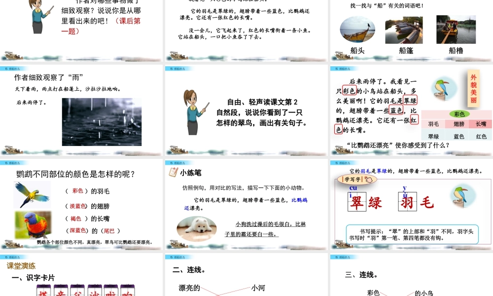 语文三年级上册-课时15 搭船的鸟.pptx