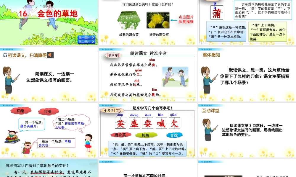 语文三年级上册-课时16 金色的草地.pptx