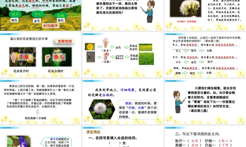 语文三年级上册-课时16 金色的草地.pptx