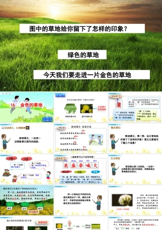 语文三年级上册-课时16 金色的草地.pptx