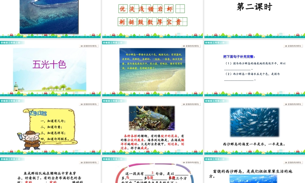 语文三年级上册-课时18 富饶的西沙群岛 课件.ppt
