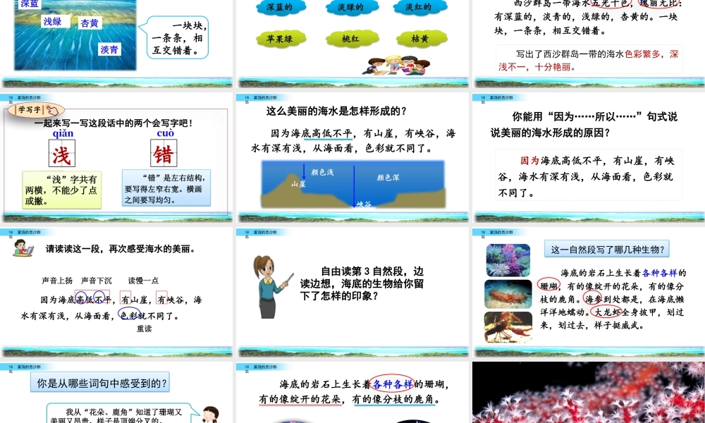 语文三年级上册-课时18 富饶的西沙群岛.pptx