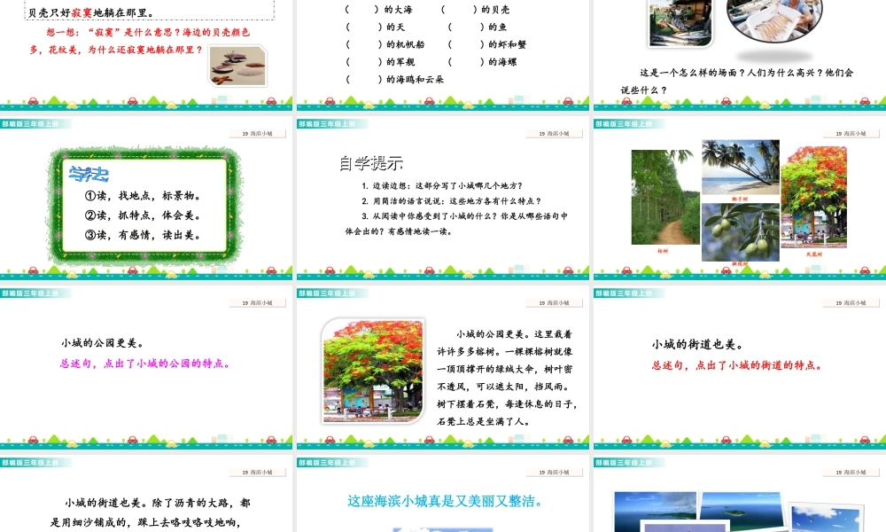 语文三年级上册-课时19 海滨小城 课件.ppt