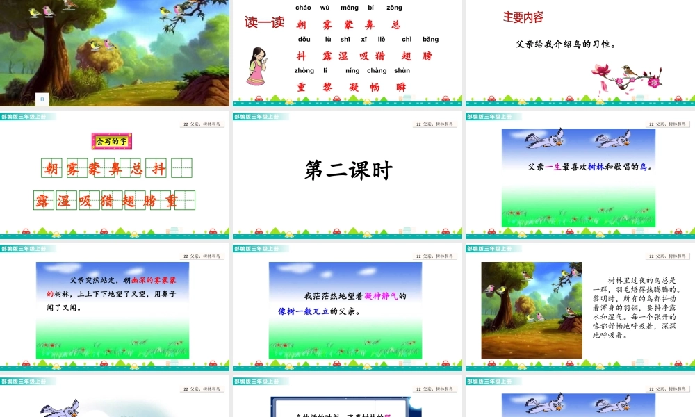 语文三年级上册-课时23 父亲、树林和鸟 课件.ppt