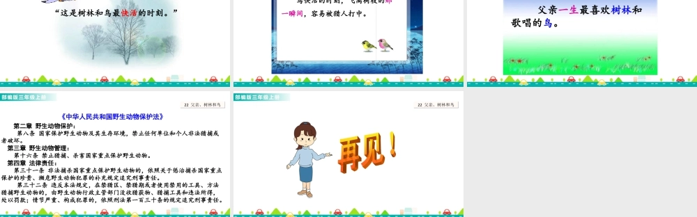 语文三年级上册-课时23 父亲、树林和鸟 课件.ppt
