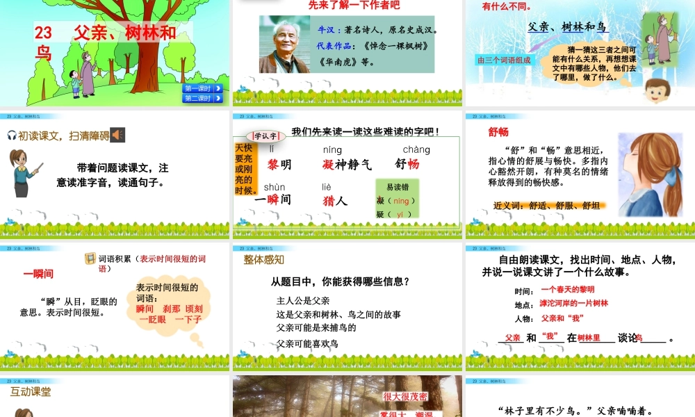 语文三年级上册-课时23 父亲、树林和鸟.pptx