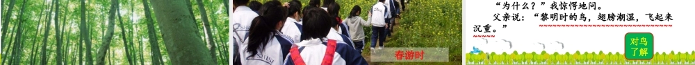 语文三年级上册-课时23 父亲、树林和鸟.pptx