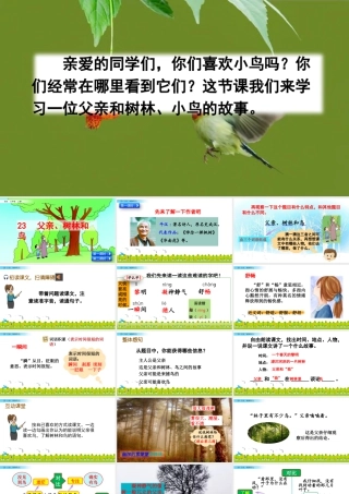 语文三年级上册-课时23 父亲、树林和鸟.pptx