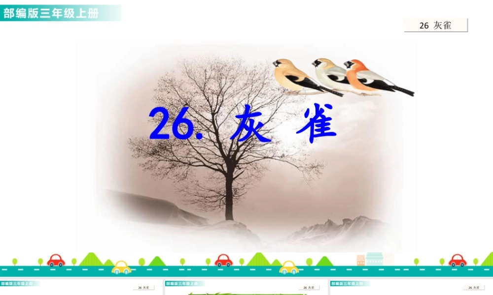 语文三年级上册-课时26 灰雀 课件.ppt